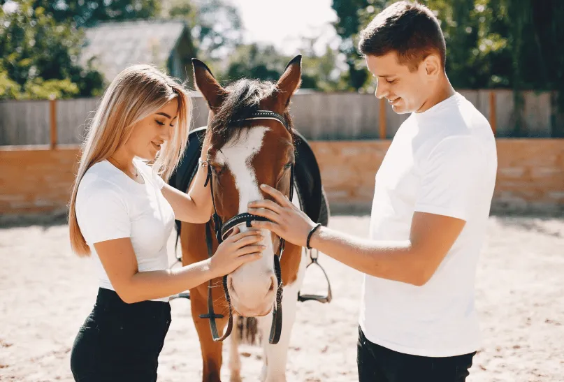assicurazione per cavallo